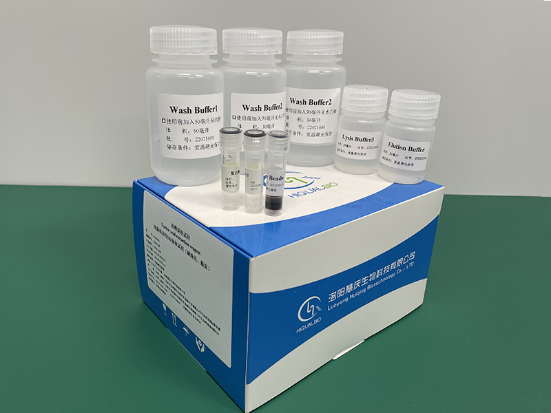 如何更好的獲得細菌基因組DNA/RNA？慧慶實驗成果分析